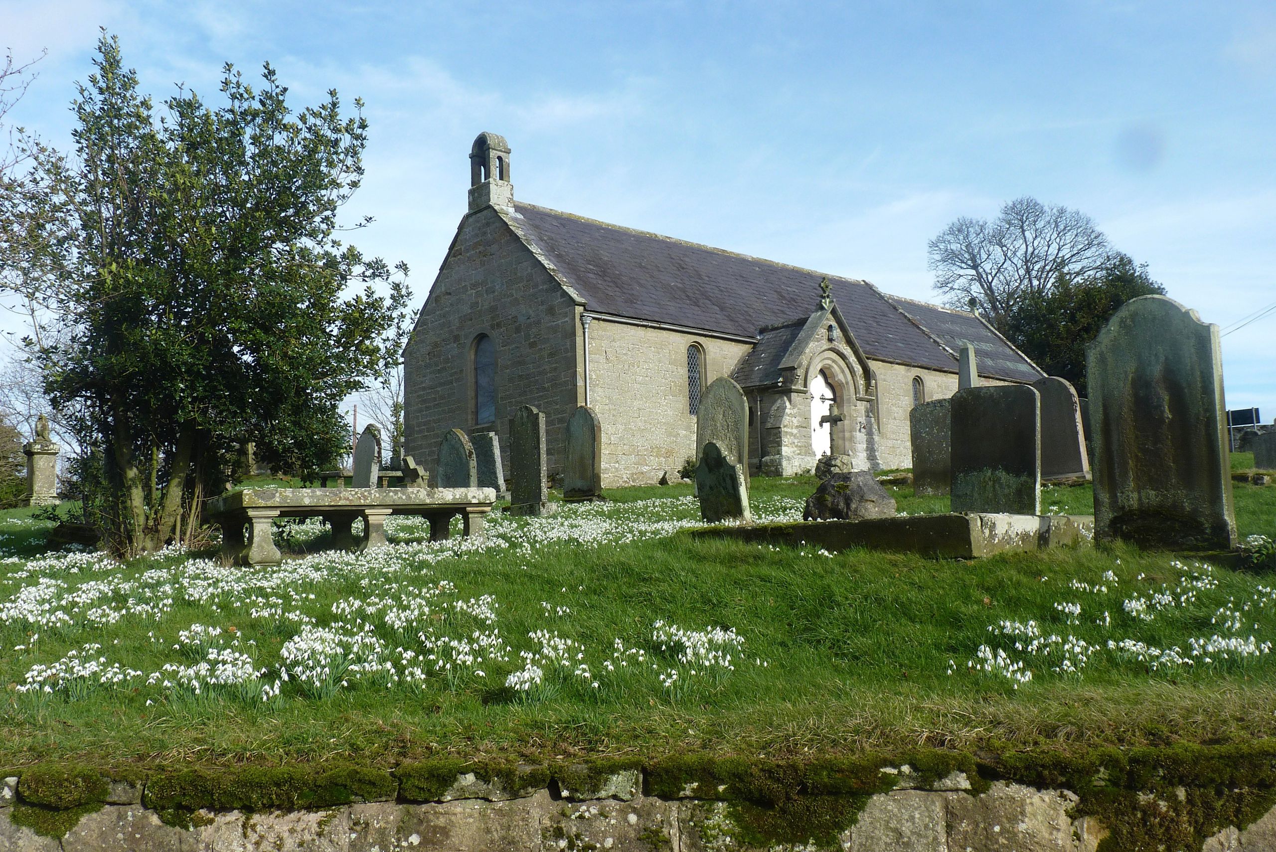 Snowdrops Bolton church